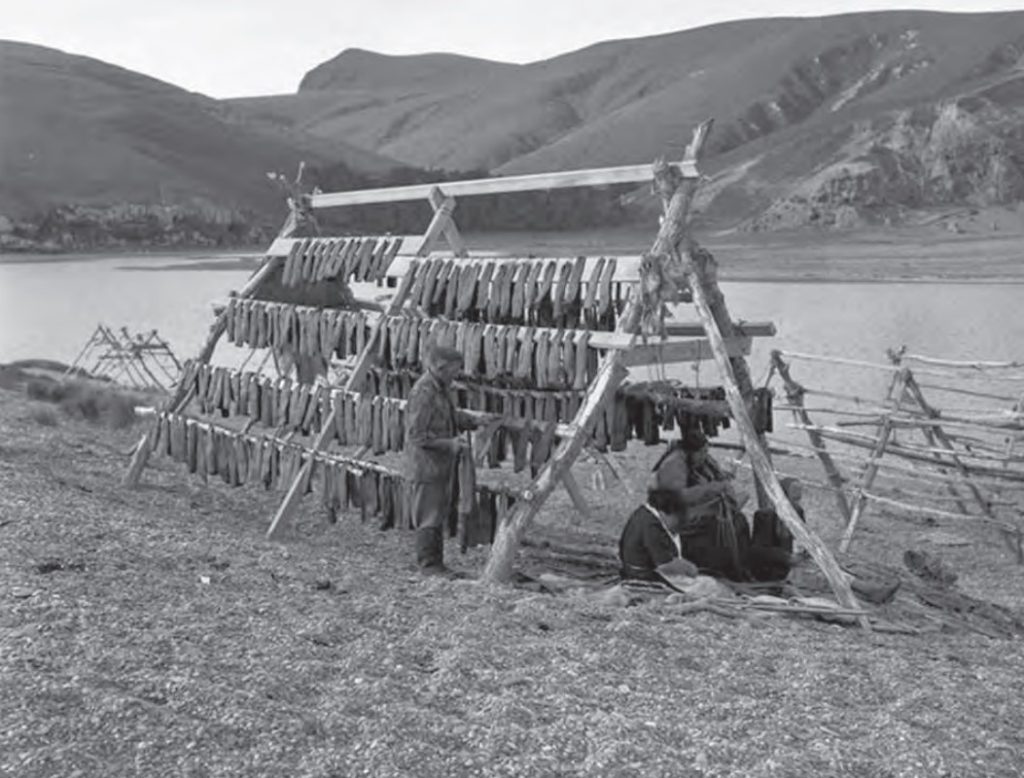 Wairewa Whānau drying tuna on a whata at Te Roto o Wairewa. Source: Alexander Turnbull Library, Tourist and Publicity Department Collection Reference: 1/2-040042